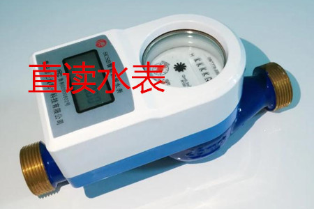 甯波(bo)生産直讀(dú)水表的廠(chǎng)家有哪些(xiē)?