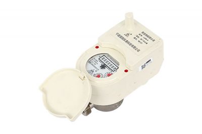 滄(cang)州NB-IoT直飲水水(shui)表