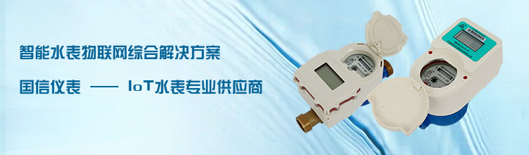 國信儀(yi)表-IOT水表專(zhuān)業供應商(shang)